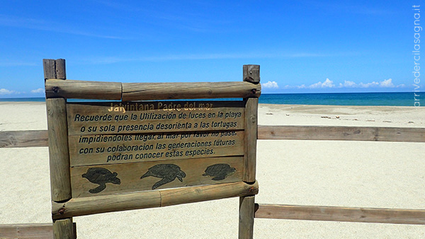 Tortugas, Parque Tayrona, Colombia